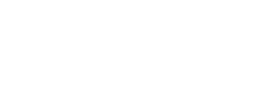 2GIS