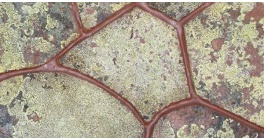 Песчаник красный с живым лишайником, 15-40 мм фото
