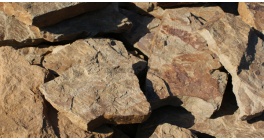 Песчаник тигровый Дракон рваный край, 20-40 мм фото